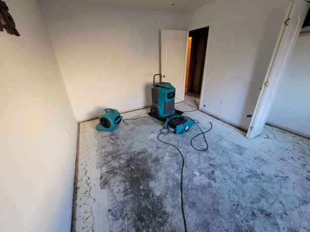 Water damage restoration mold remediation in Indian Lake, TX