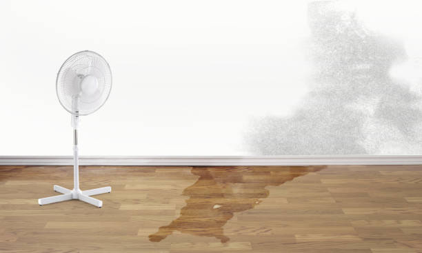 Best Water damage restoration experts  in Indian Lake, TX