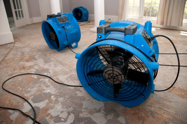 Best 24/7 water damage repair  in Indian Lake, TX
