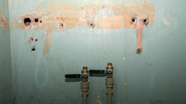 Best Mold removal after water damage  in Indian Lake, TX